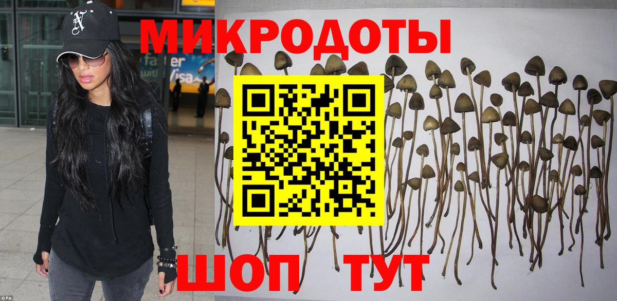 Галлюциногенные грибы Cubensis Воткинск