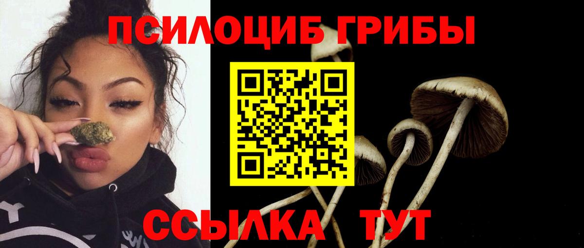 где продают наркотики  Псилоцибиновые грибы Psilocybine cubensis  Галлюциногенные грибы GOLDEN TEACHER  Вход с VPN  Воткинск 